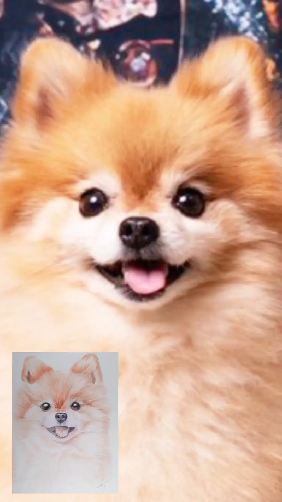 Retrato personalizado de mascotas. Coco