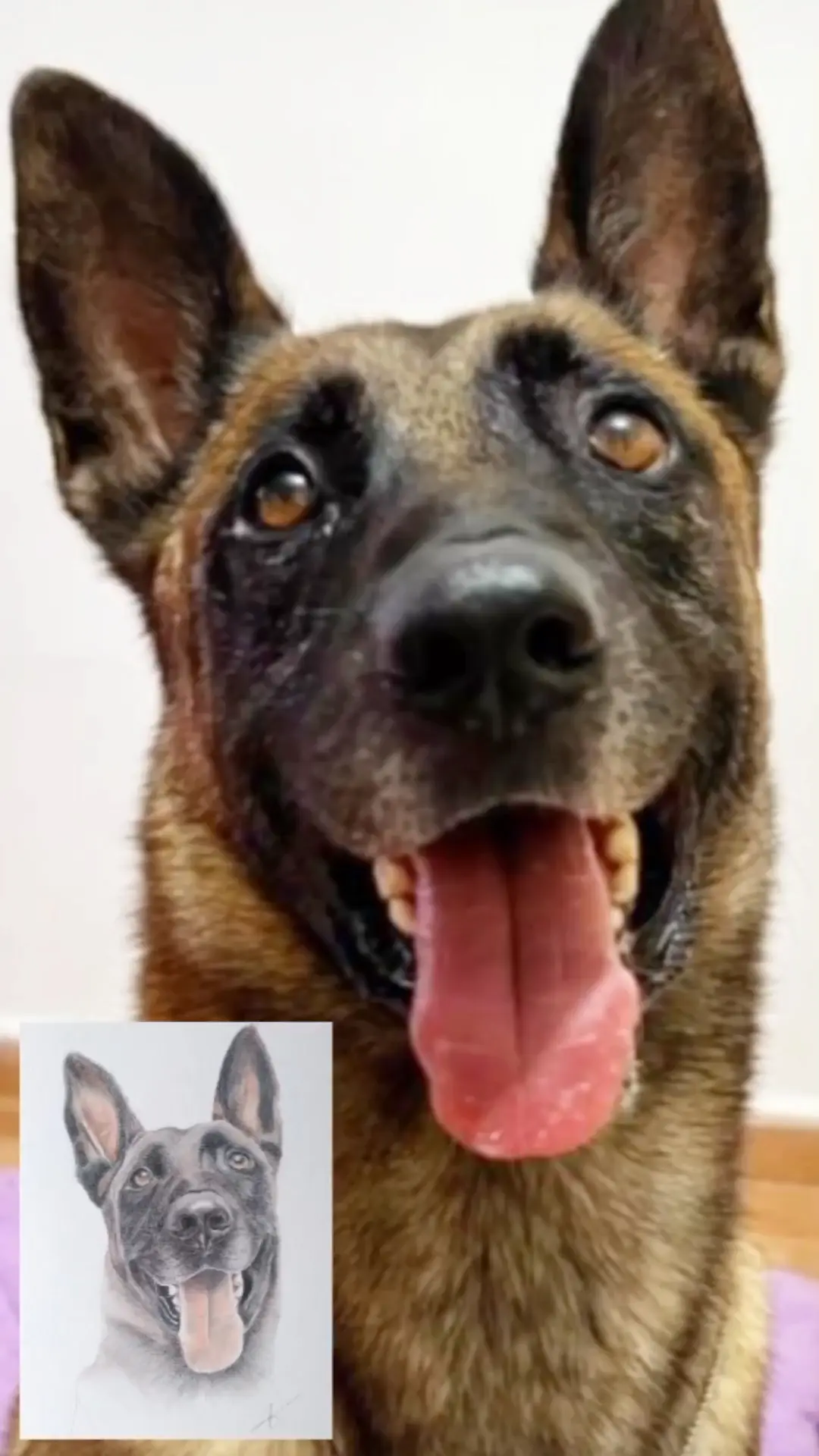 Retrato personalizado de perro. Bruce